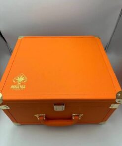 Ace Ultra 2G Disposable Spring Edition (25 Pcs Variety Master Box)