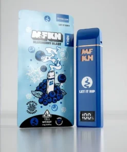 MFKN Disposable 2G Blueberry Blast